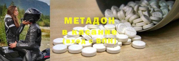 индика Алзамай