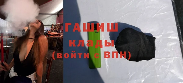 хмурый Пересвет