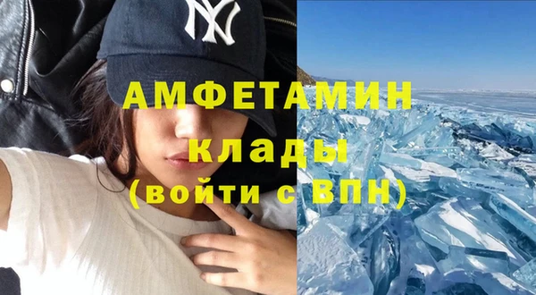 индика Алзамай